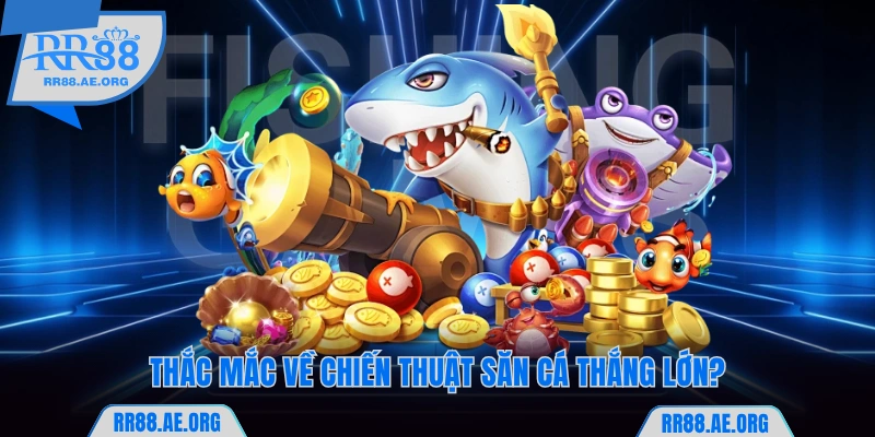 Thắc mắc về chiến thuật để săn ngư thắng lớn?